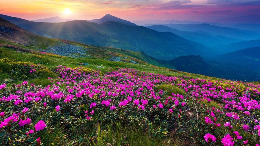 himalayan treks Valley of Flowers trek